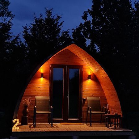 Casute In Mijlocul Naturii - Wild Camp Avrig Exterior foto