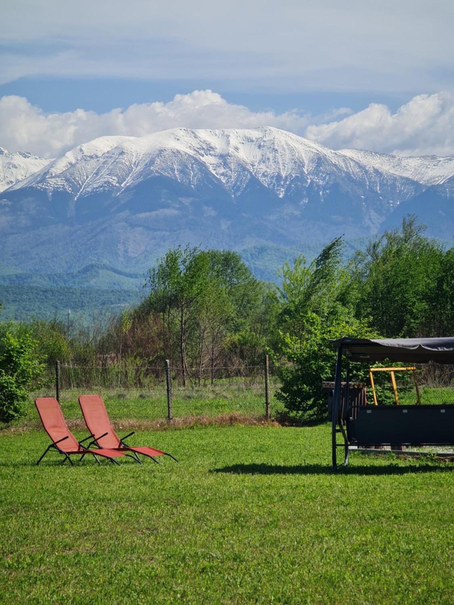 Casute In Mijlocul Naturii - Wild Camp Avrig Exterior foto