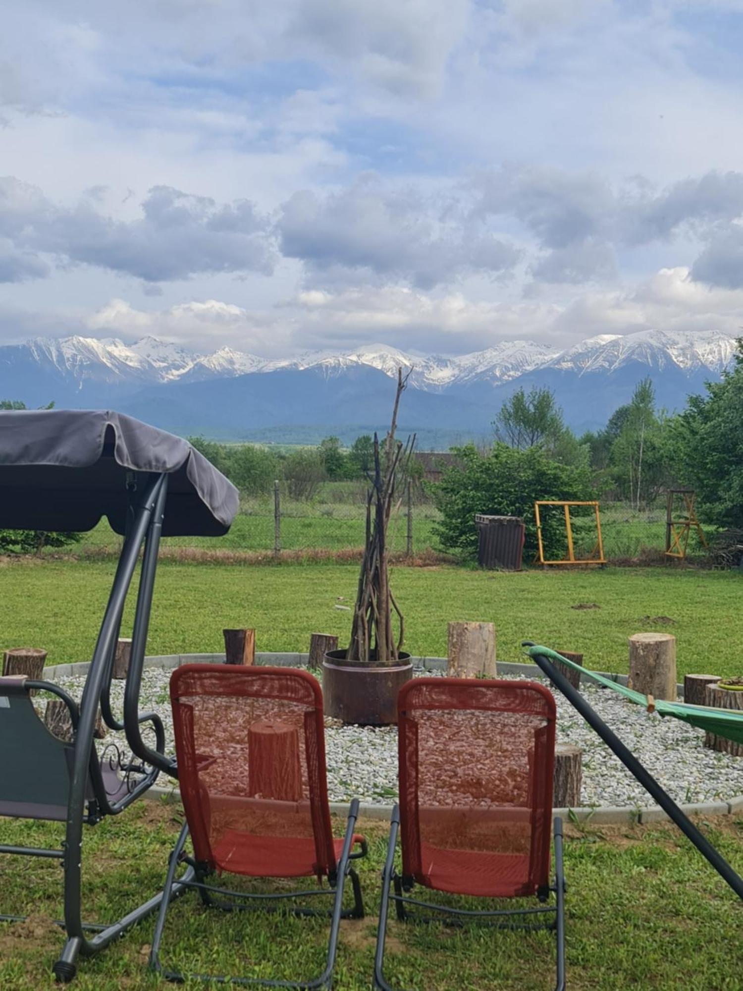 Casute In Mijlocul Naturii - Wild Camp Avrig Exterior foto