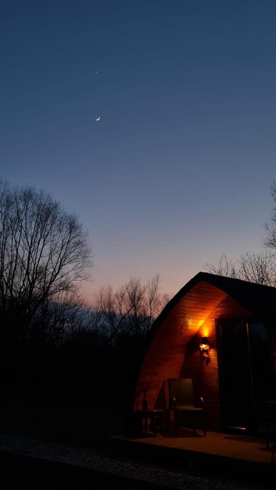 Casute In Mijlocul Naturii - Wild Camp Avrig Exterior foto